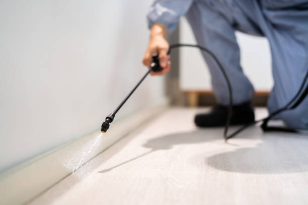 Licensed Termite Control service in Olive Hill, KY - Nex Pest Control