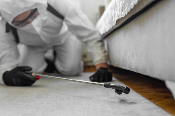 Professional Termite Control technician working in Olive Hill, KY