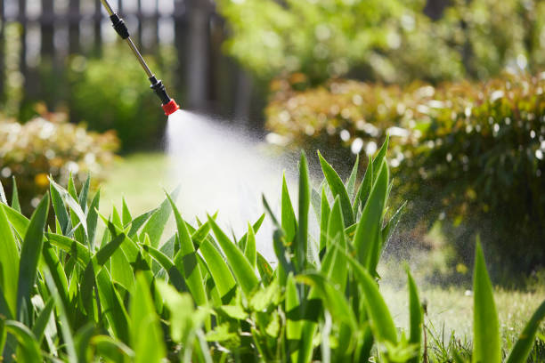 24/7 Emergency Termite Control experts in Olive Hill, KY