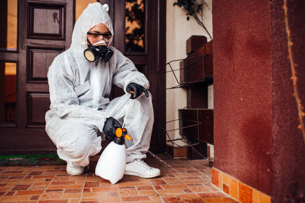 Reliable Termite Control contractor in Olive Hill, KY by Nex Pest Control